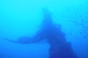 HMSVestal wreck